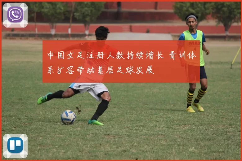 中国女足注册人数持续增长 青训体系扩容带动基层足球发展