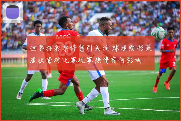 世界杯彩票停售引关注 球迷购彩渠道收紧对比赛观赛热情有何影响